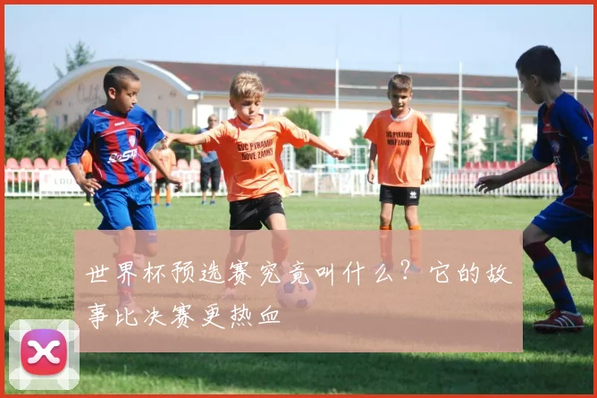 世界杯预选赛究竟叫什么？它的故事比决赛更热血