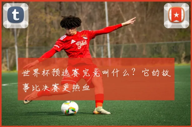 世界杯预选赛究竟叫什么？它的故事比决赛更热血